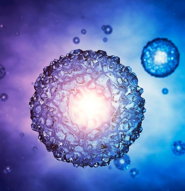Blastocyst Culture and Transfer treatment