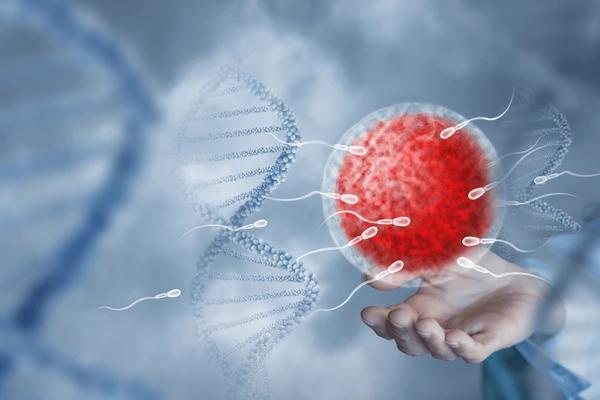 Fertility Workup Treatment in Gurgaon