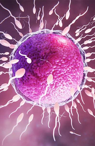 IVF treatment in Gurgaon